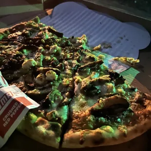 We had a little Nightime picnic in the park.. Sad our pizza was not a hit.