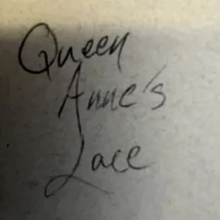 Note - Queen Anne's Lace