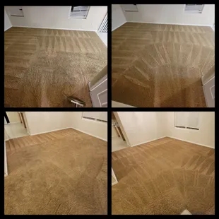 Rental carpet cleaning
