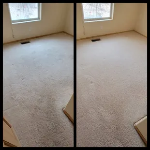 Rental carpet cleaning