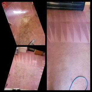 Carpet cleaning and pet urine treatment
