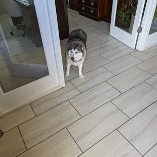 This little cutie inspecting our work