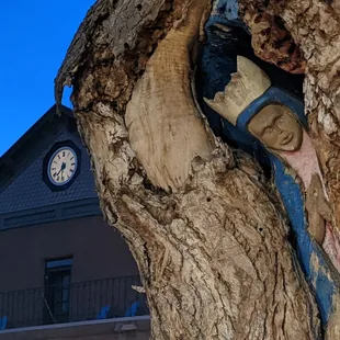 Virgin Mary tree carving outside of San Felipe de Neri Church, Old Town Albuquerque