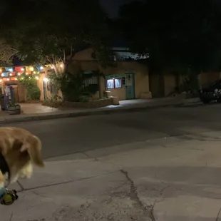 Plaza with tour guide, Brianna's dog and plaza where Confederate soldier "Sarge" has been sighted