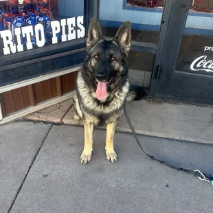 Front of shop - with my dog!