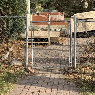 Two containers gardens on either side of the brick walkway leading to our backyard.