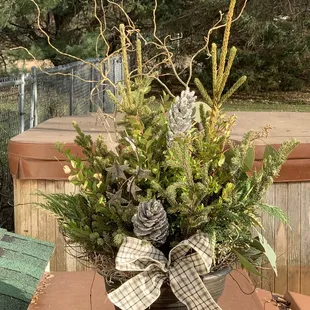 One of the container gardens we bought to enjoy during the winter.
