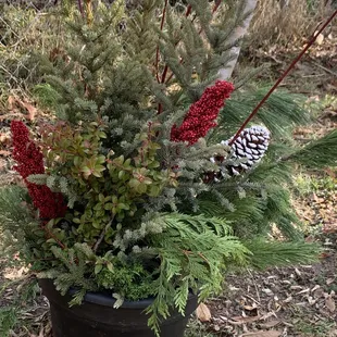 A close-up of one of the beautiful container gardens. We'll enjoy seeing this one and the two others throughout the winter.