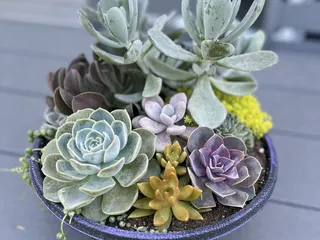 Costa Produce Farm & Greenhouse