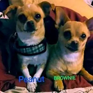 Jeannie D.