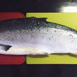 Phoned in to ask about 12lb of fresh salmon - got there Saturday morning at 9:30AM and found this waiting for us! Gutted but not scaled.