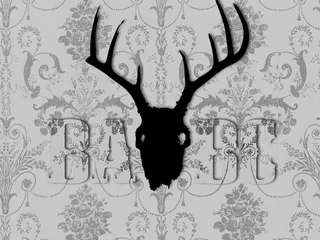 Black Antler Book Club