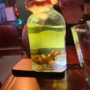 That's a huge cricket