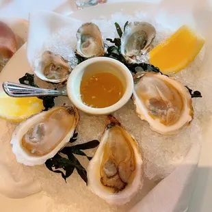 3 Kumomoto and 3 Beausoleil Oysters