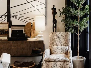 Lee Douglas Interiors