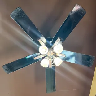 Super dirty ceiling fans... kind of gross