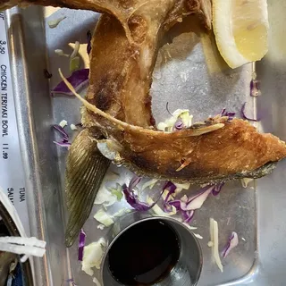 Yellowtail Collar (1 PC)