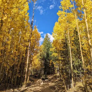 Instagram: @telephonesmoothie