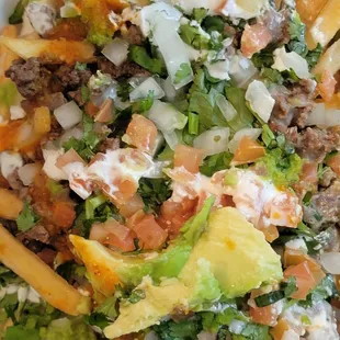 Carne Asada Fries