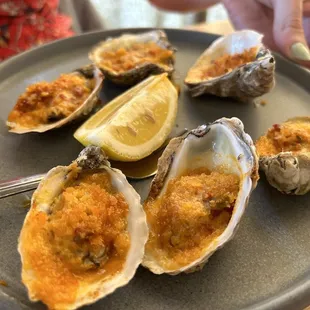 a plate of oysters with a lemon wedge