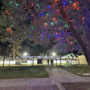 Ice rink in the park- opening night