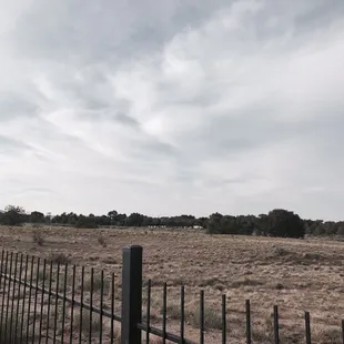In side the fence of the academy