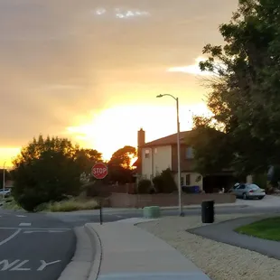 Beautiful view while walking at the park
