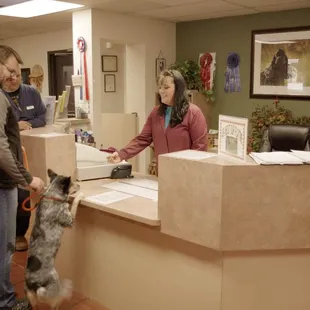 I would like playtime and belly rubs please