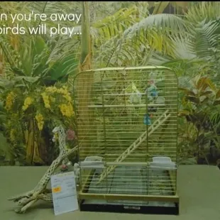 We provide Bird boarding only $6.00 per cage per night.