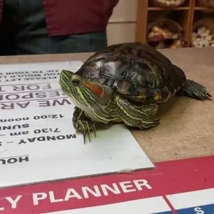 We board all types of pets.