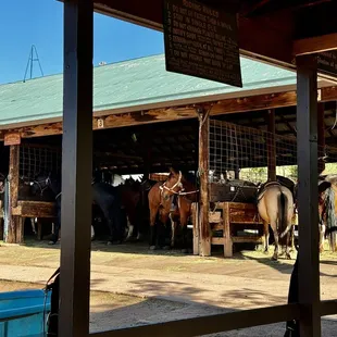 Academy Riding Stables