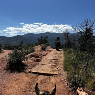 Scenic view of garden of the gods while riding horseback