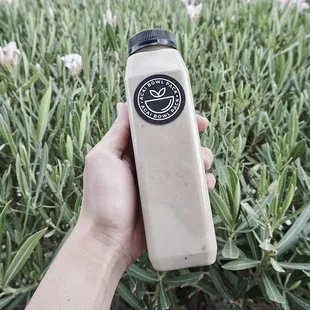 Peanut butter chocolate crunch w/ blue majik protein shake.