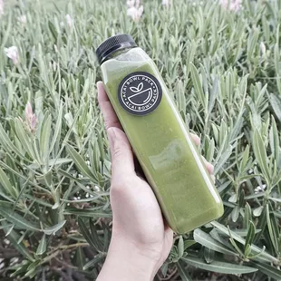 Green Diesel- Kale, Orange, Lemon, Apple, and Ginger