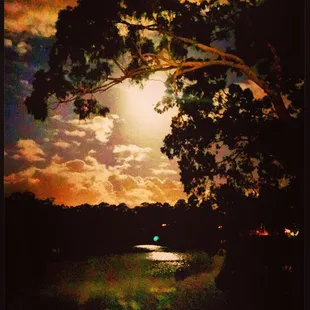 Backyard Moon light!! Aloha!