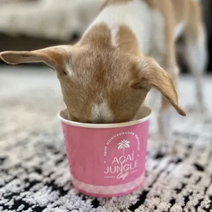 Cleaning the spots where my spoon couldn't get