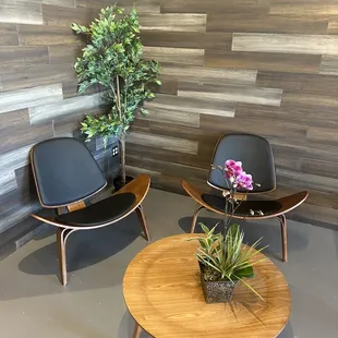 two chairs and a coffee table