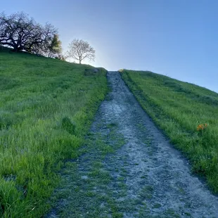 Climbing this hill