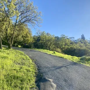 Briones to Mount Diablo Trail