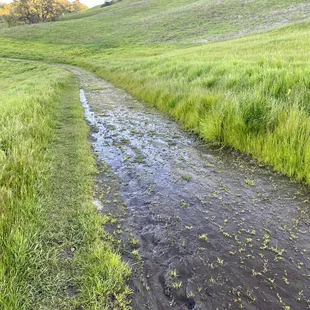 Very muddy on the Camino Verde Trail