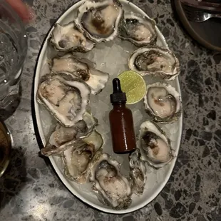 oysters and mussels, oysters, food, mussels, shellfish