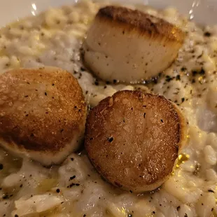 Risotto with scallops