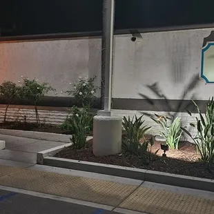 Handicap ramp in front of restaurant if needed. Well lit at night