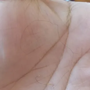 A fews bites into my burrito found a hair told the waitress girl who is always here &amp; all she said is &quot;sorry&quot; and walked away
