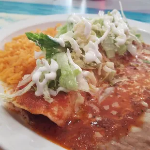 Lunch Mexican Burrito, filled with shredded beef, with rice and refried pinto beans on the sides.