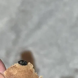 BUG