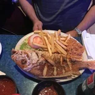 Whole red snapper