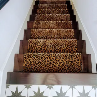 leopard print on the stairs