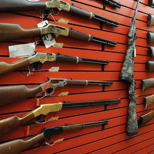 Guns and Ammo Memphis. Best gun store in Memphis! Experienced team. Great prices with huge inventory of guns and knives.