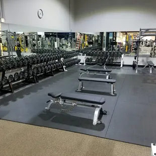 One of 3 dumbbell areas at Accolade Fitness